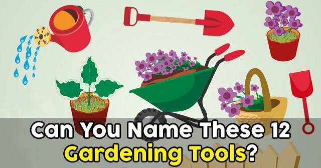 Can You Name These 12 Gardening Tools Quizpug
