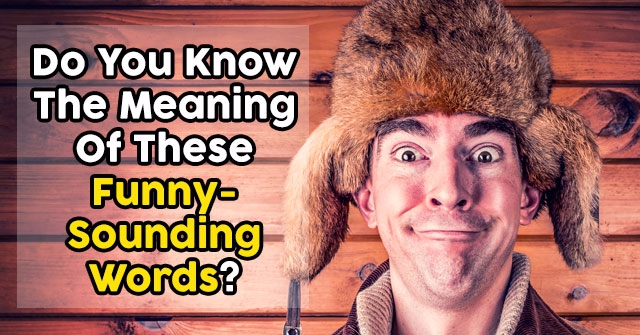 do-you-know-the-meaning-of-these-funny-sounding-words-quizpug