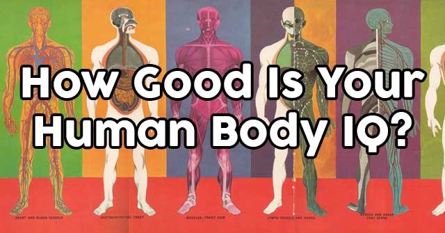 How Well Do You Know The Human Body?