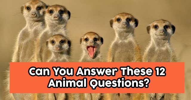 Can You Answer These 12 Animal Questions?