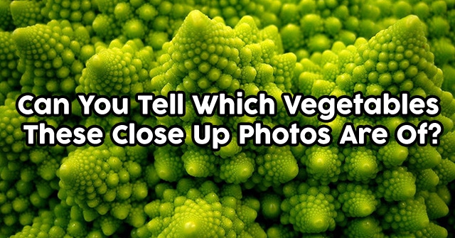 Can You Tell Which Vegetables These Close Up Photos Are Of?