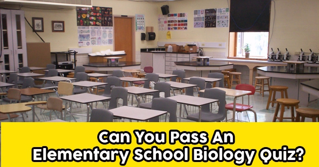 Can You Pass An Elementary School Biology Quiz?