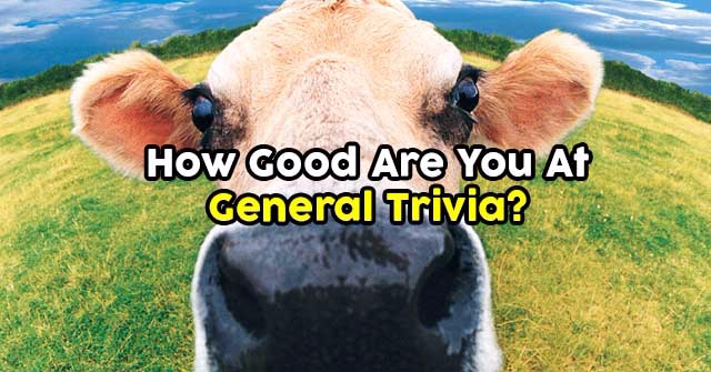 How Good Are You At General Trivia?