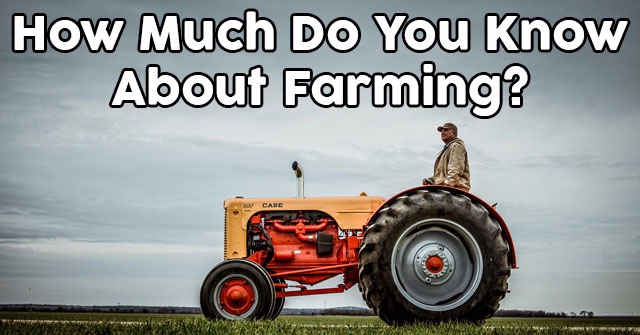 How Much Do You Know About Farming?