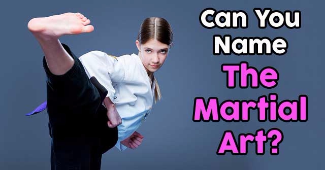 Can You Name The Martial Art?