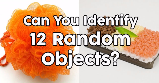 Can You Identify 12 Random Objects?