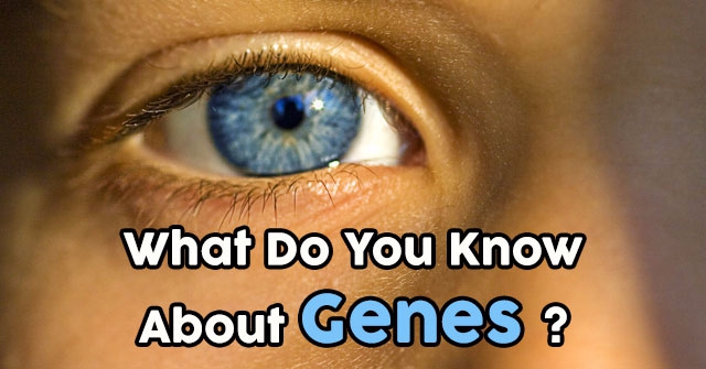 What Do You Know About Genes?