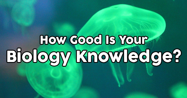 How Good Is Your Biology Knowledge?