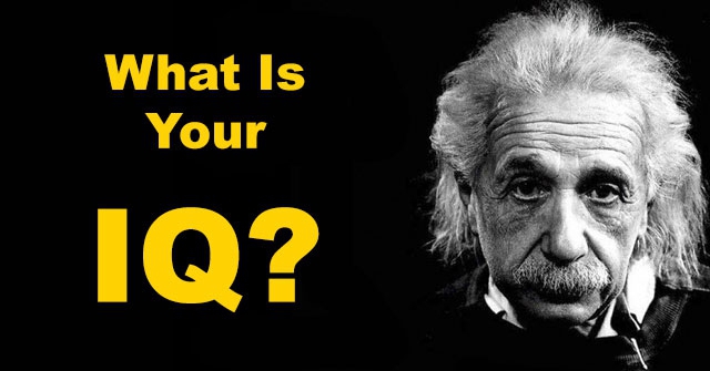 What Is Your IQ?