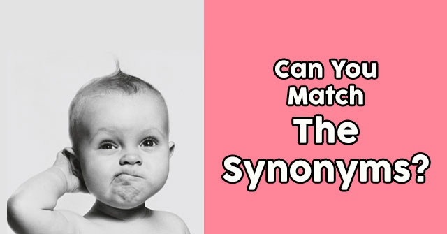 Can You Match The Synonyms?