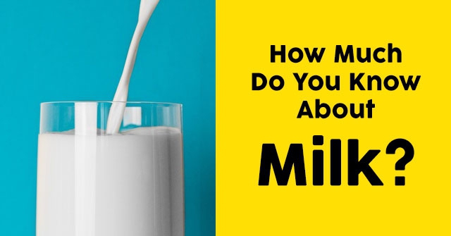 How Much Do You Know About Milk?