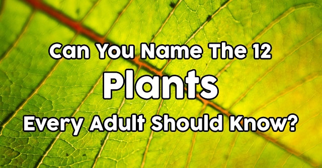 Can You Name The 12 Plants Every Adult Should Know?