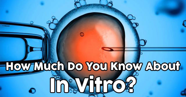 How Much Do You Know About In Vitro?