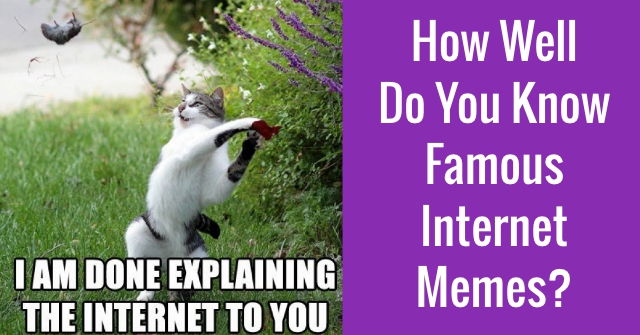 How Well Do You Know Famous Internet Memes?