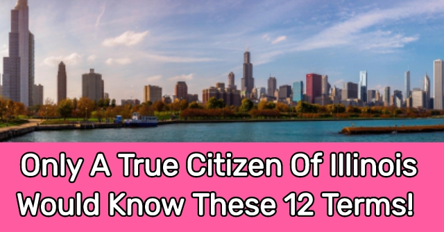 Only A True Citizen Of Illinois Would Know These 12 Terms!