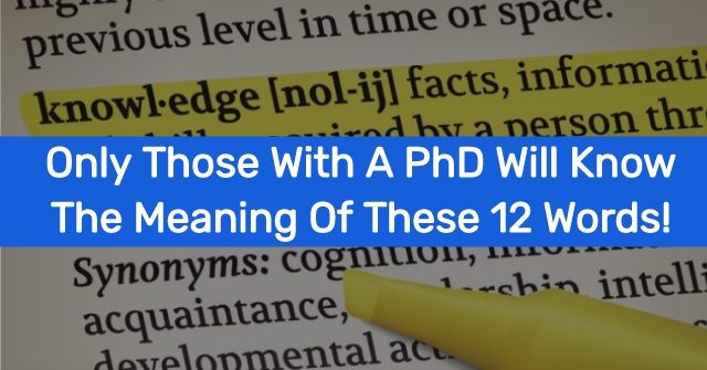 Only Those With A PhD Will Know The Meaning Of These 12 Words!