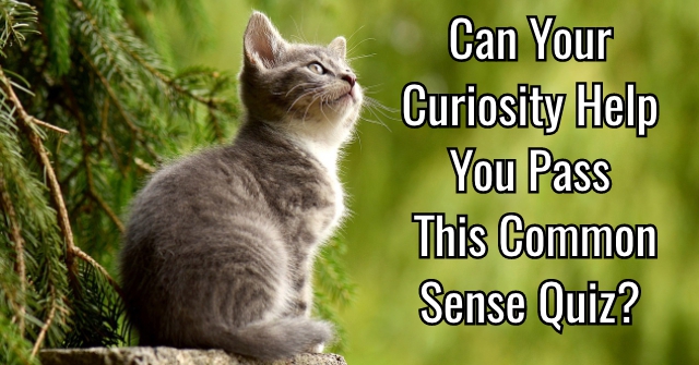 Can Your Curiosity Help You Pass This Common Sense Quiz?