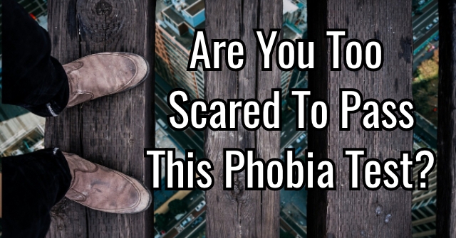 Are You Too Scared To Pass This Phobia Test?