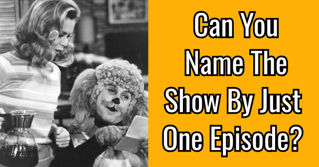 Can You Name The Show By Just One Episode?