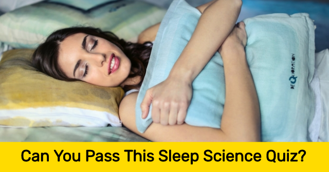 Can You Pass This Sleep Science Quiz?