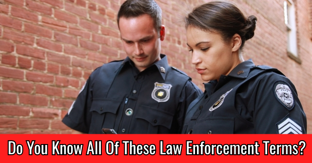 Do You Know All Of These Law Enforcement Terms?