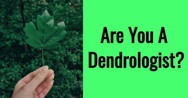 Are You A Dendrologist?