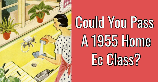 Could You Pass A 1955 Home Ec Class?